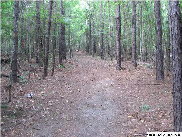 100 Cahaba Oaks Trail Pelham, AL 35124 - Photo 19 of 24