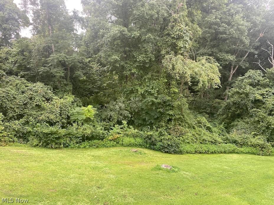 581 Warren Chapel Road Fleming, OH 45729 - Photo 27 of 35 2nd view of back yard
