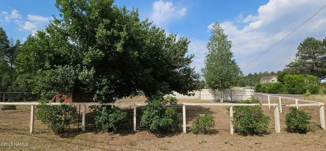 a view of a back yard of the house