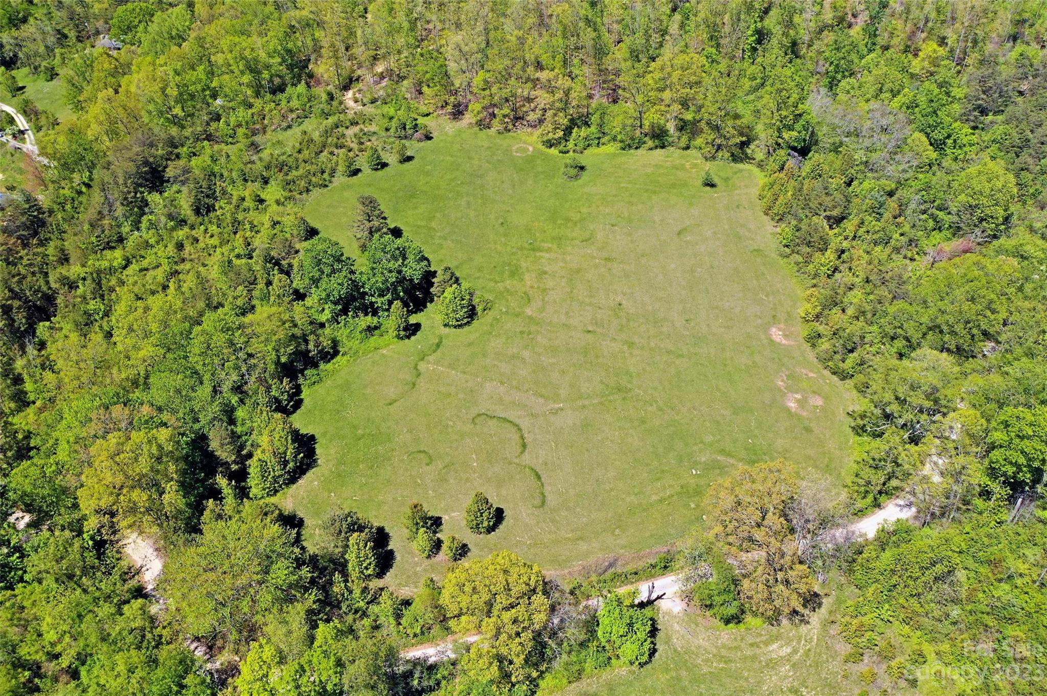 Land Off Ransom Road Clyde, NC 28721 - Photo 13 of 38
