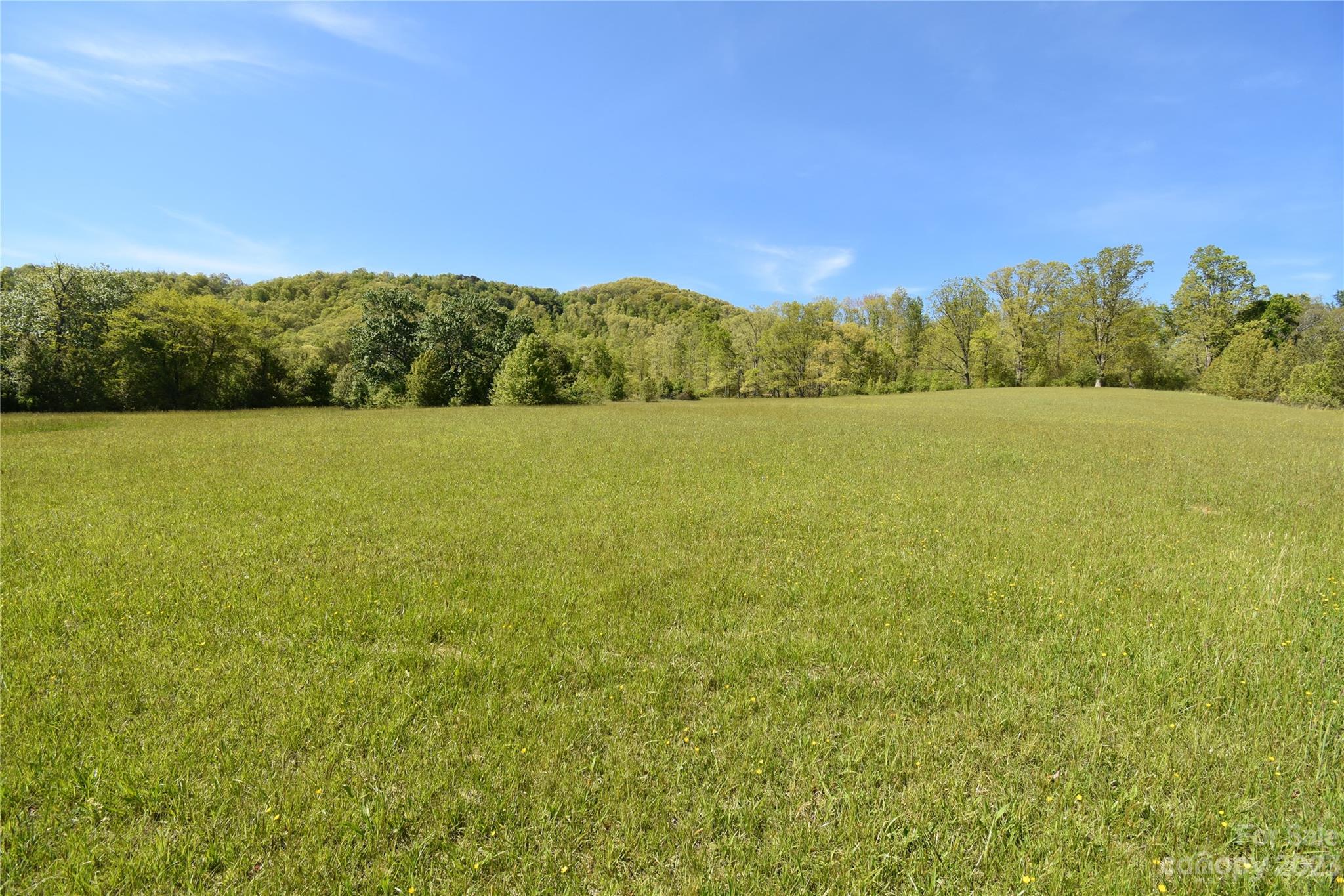 Land Off Ransom Road Clyde, NC 28721 - Photo 17 of 38