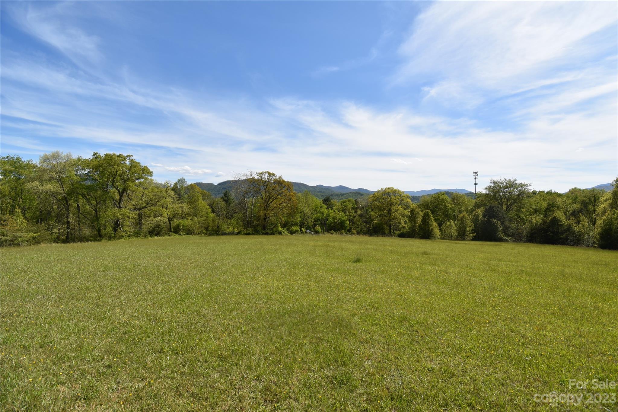 Land Off Ransom Road Clyde, NC 28721 - Photo 19 of 38