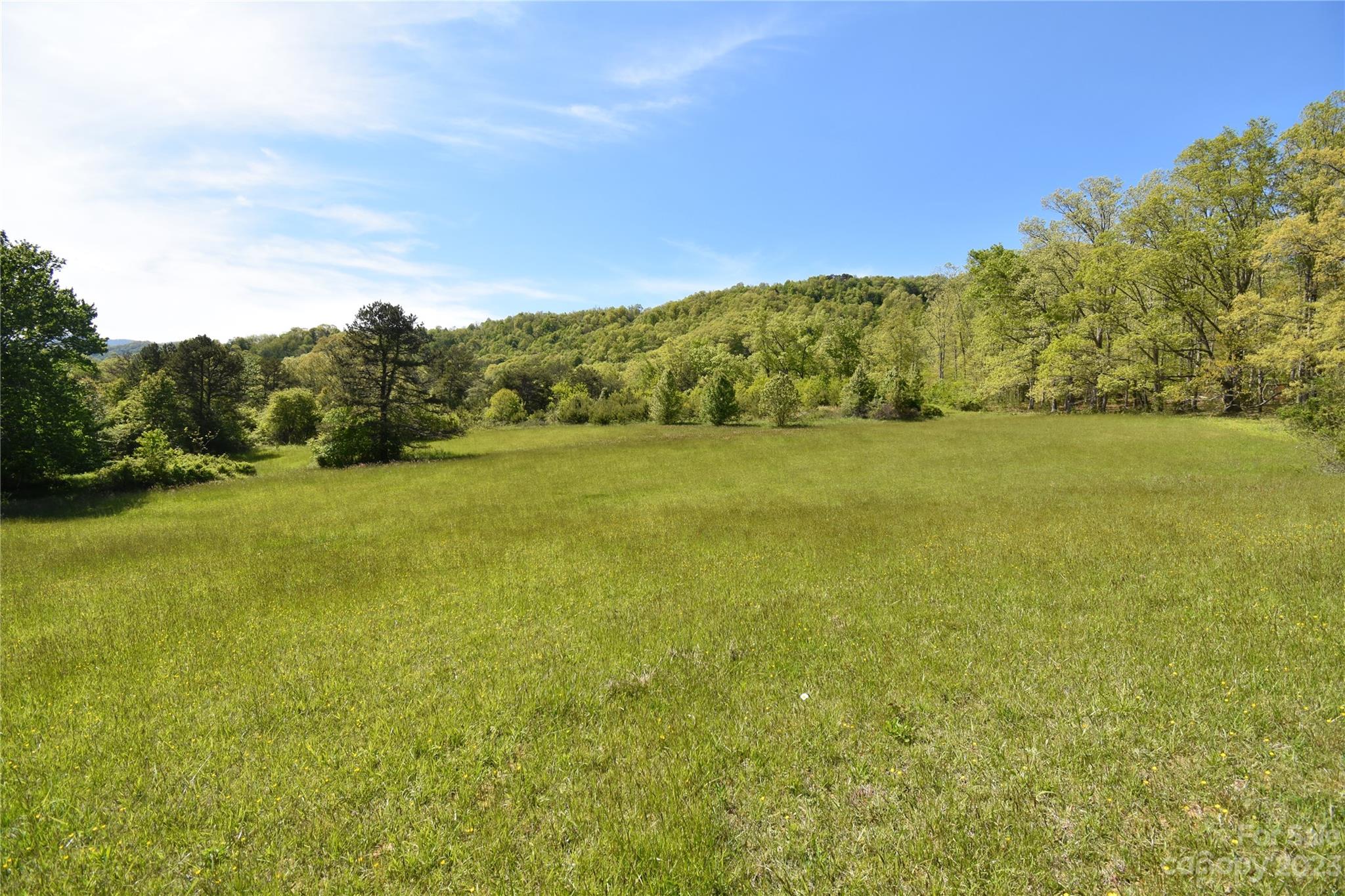 Land Off Ransom Road Clyde, NC 28721 - Photo 21 of 38