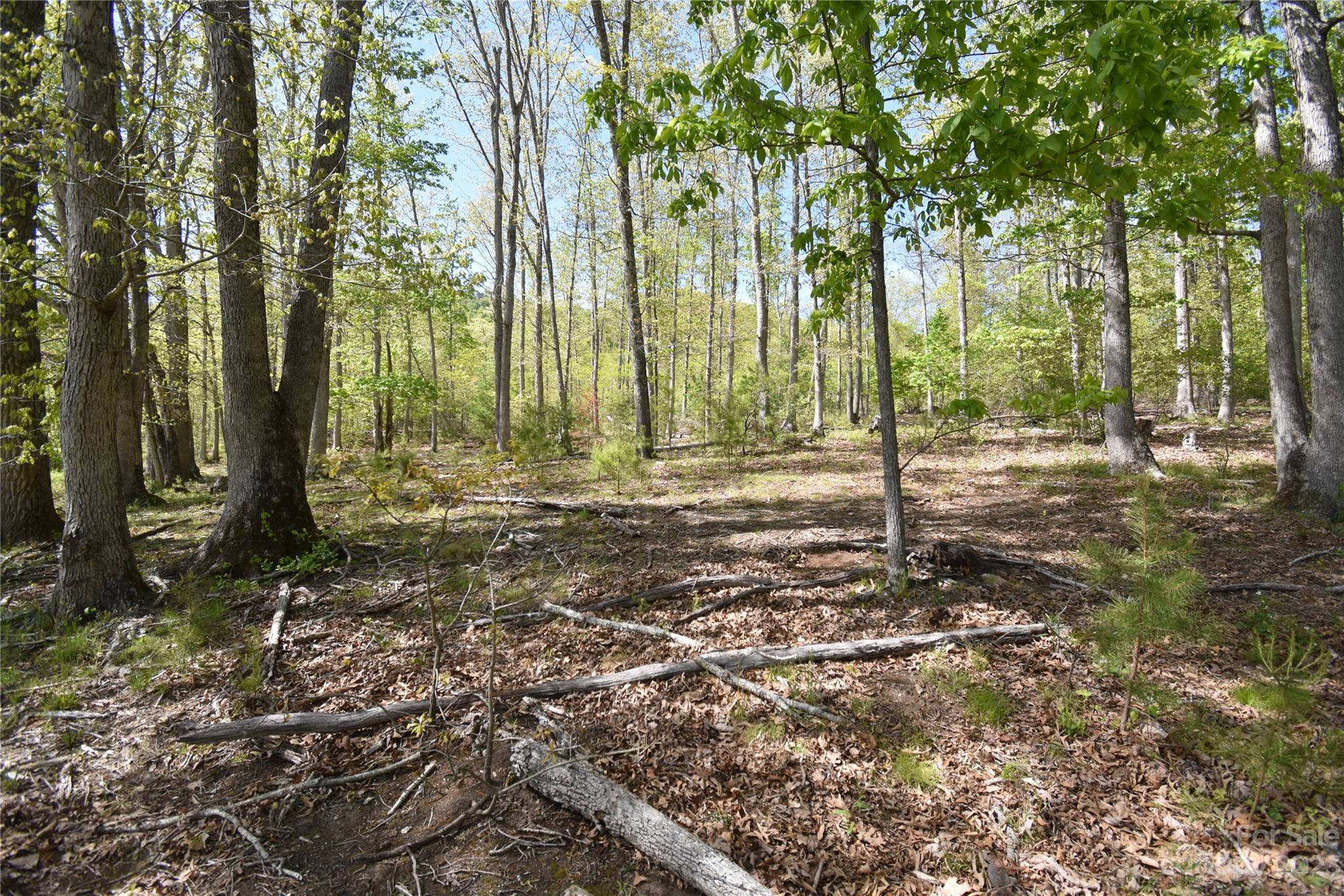 Land Off Ransom Road Clyde, NC 28721 - Photo 24 of 38