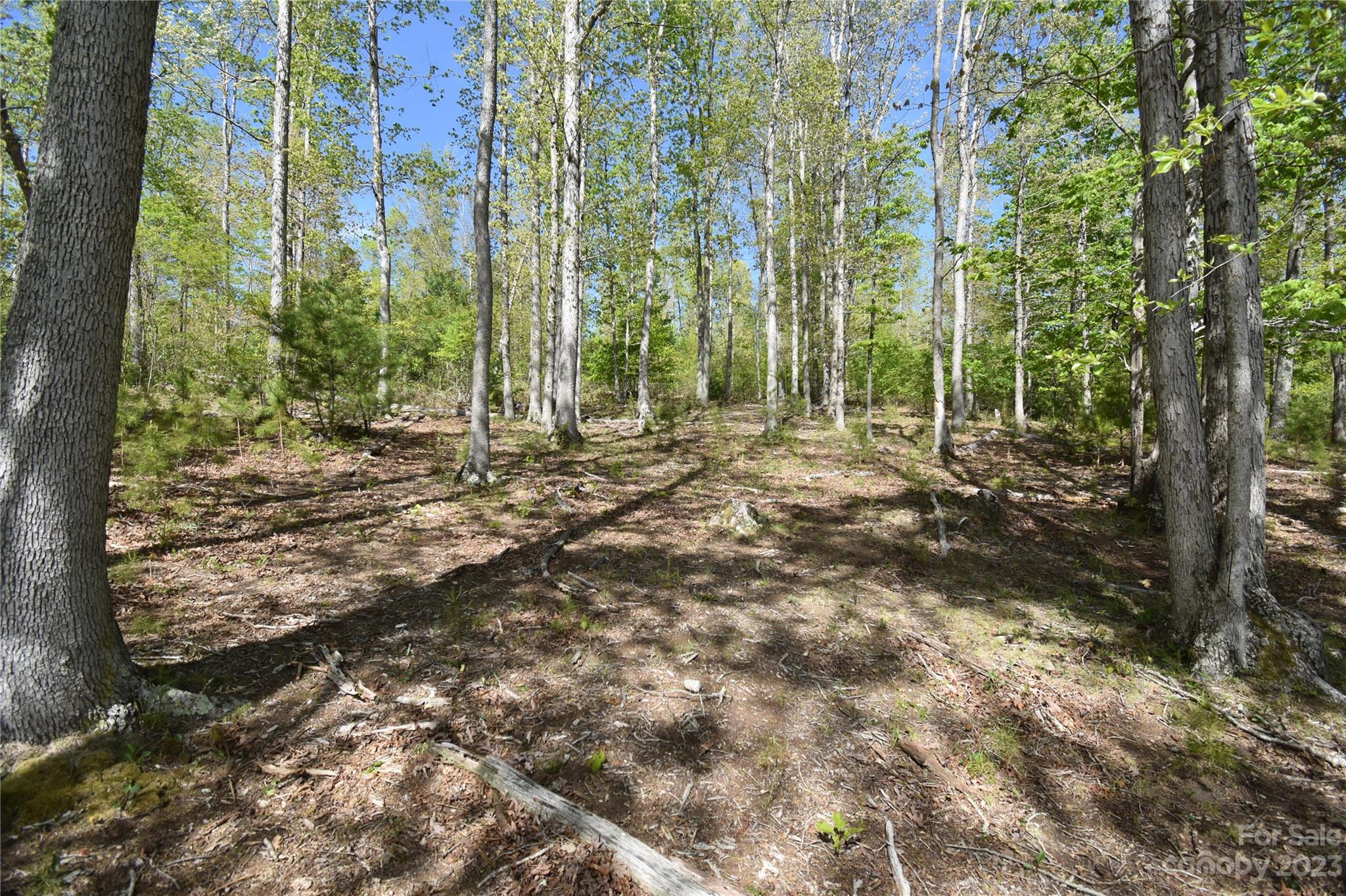 Land Off Ransom Road Clyde, NC 28721 - Photo 25 of 38