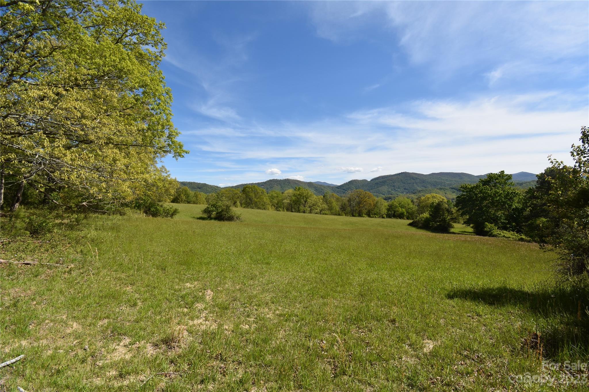 Land Off Ransom Road Clyde, NC 28721 - Photo 26 of 38