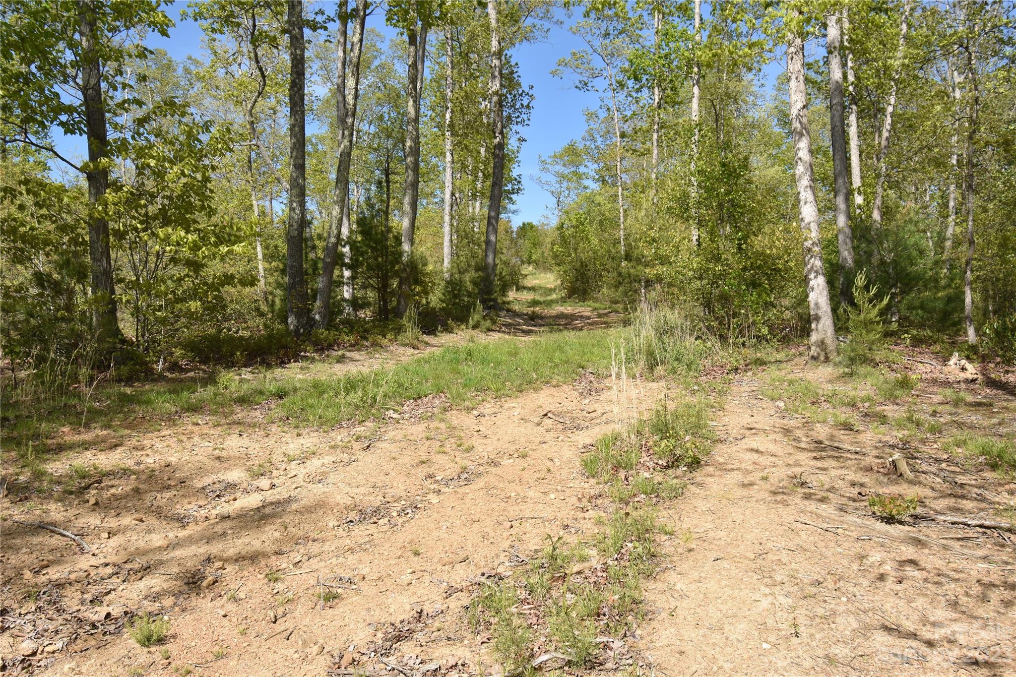 Land Off Ransom Road Clyde, NC 28721 - Photo 27 of 38