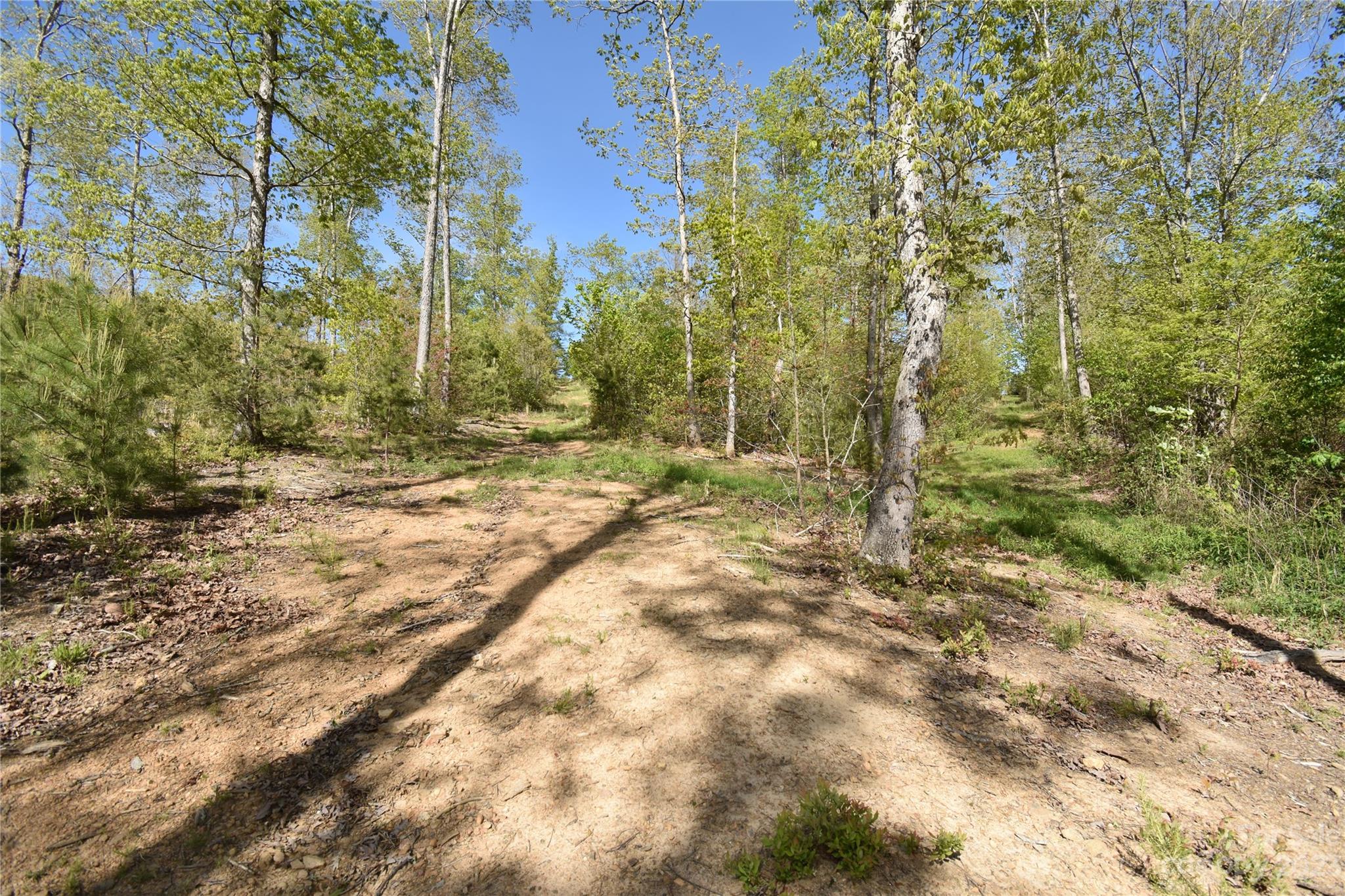 Land Off Ransom Road Clyde, NC 28721 - Photo 28 of 38