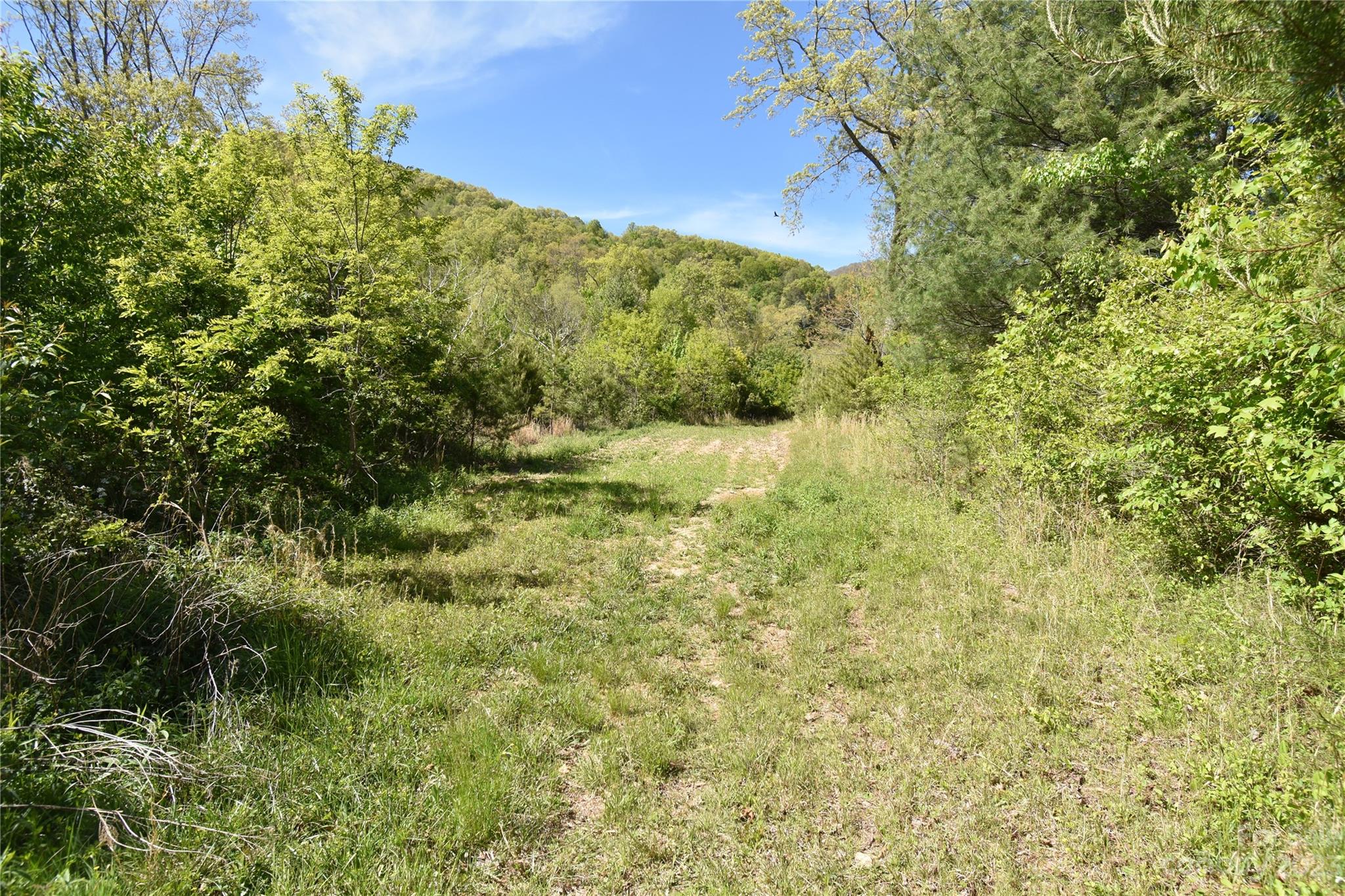 Land Off Ransom Road Clyde, NC 28721 - Photo 31 of 38