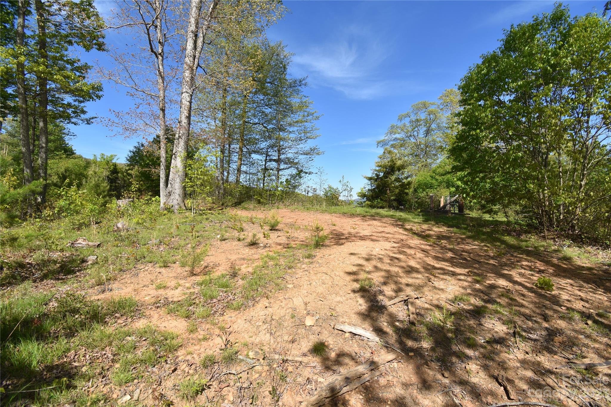 Land Off Ransom Road Clyde, NC 28721 - Photo 32 of 38