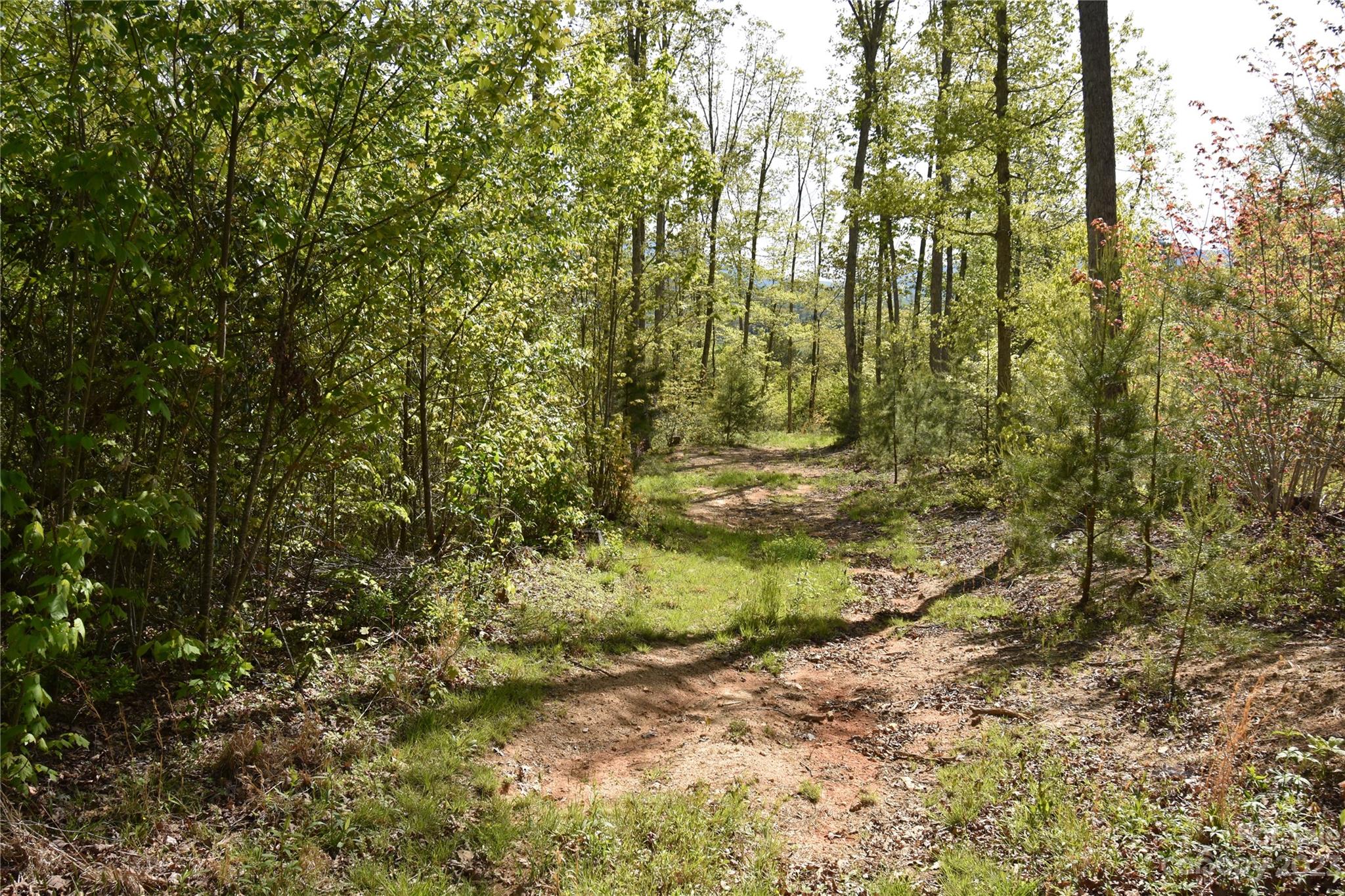 Land Off Ransom Road Clyde, NC 28721 - Photo 33 of 38