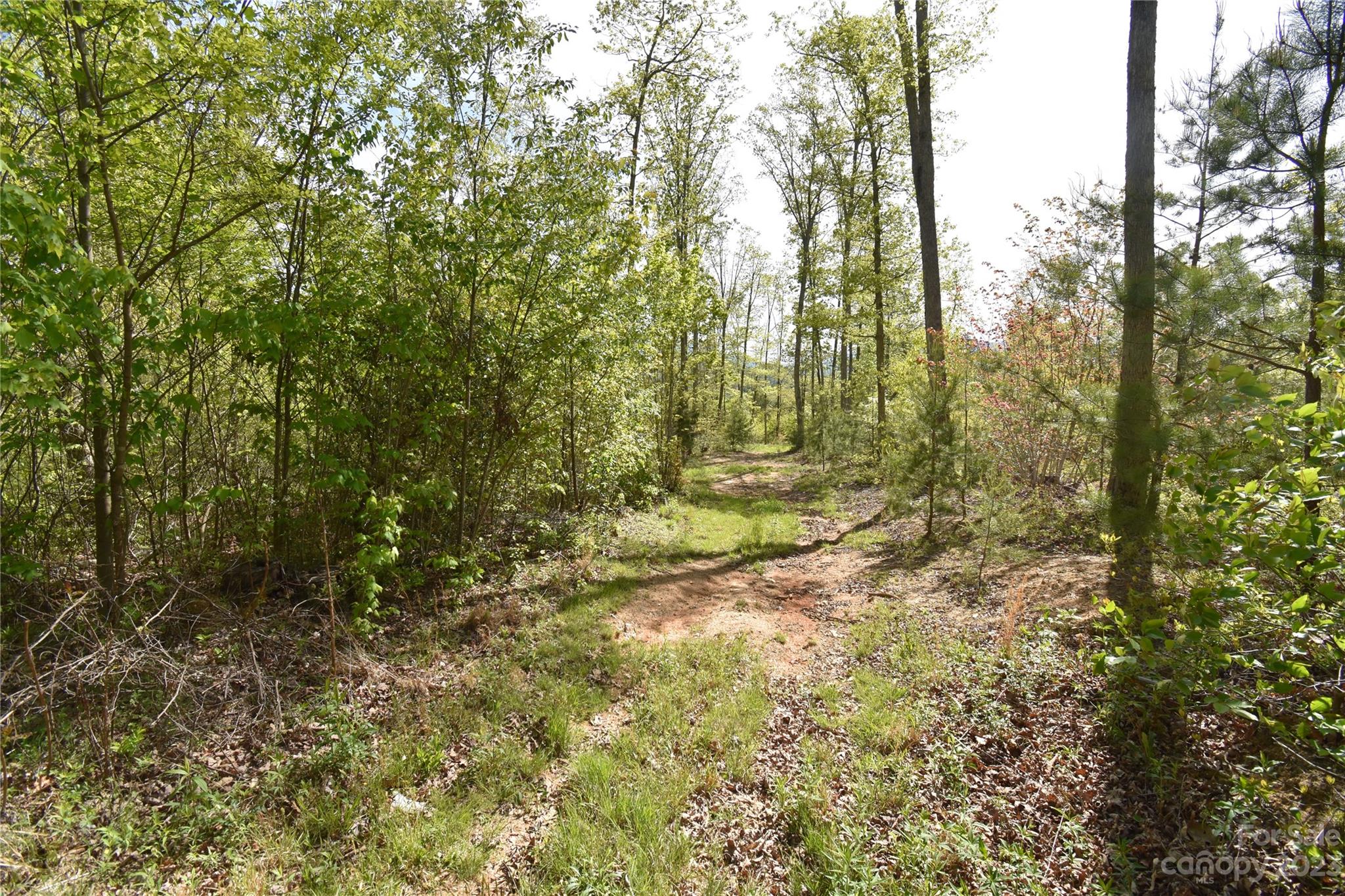 Land Off Ransom Road Clyde, NC 28721 - Photo 34 of 38