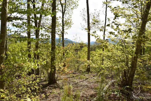 $1,500,000 | Land Off Ransom Road, Clyde, NC 28721