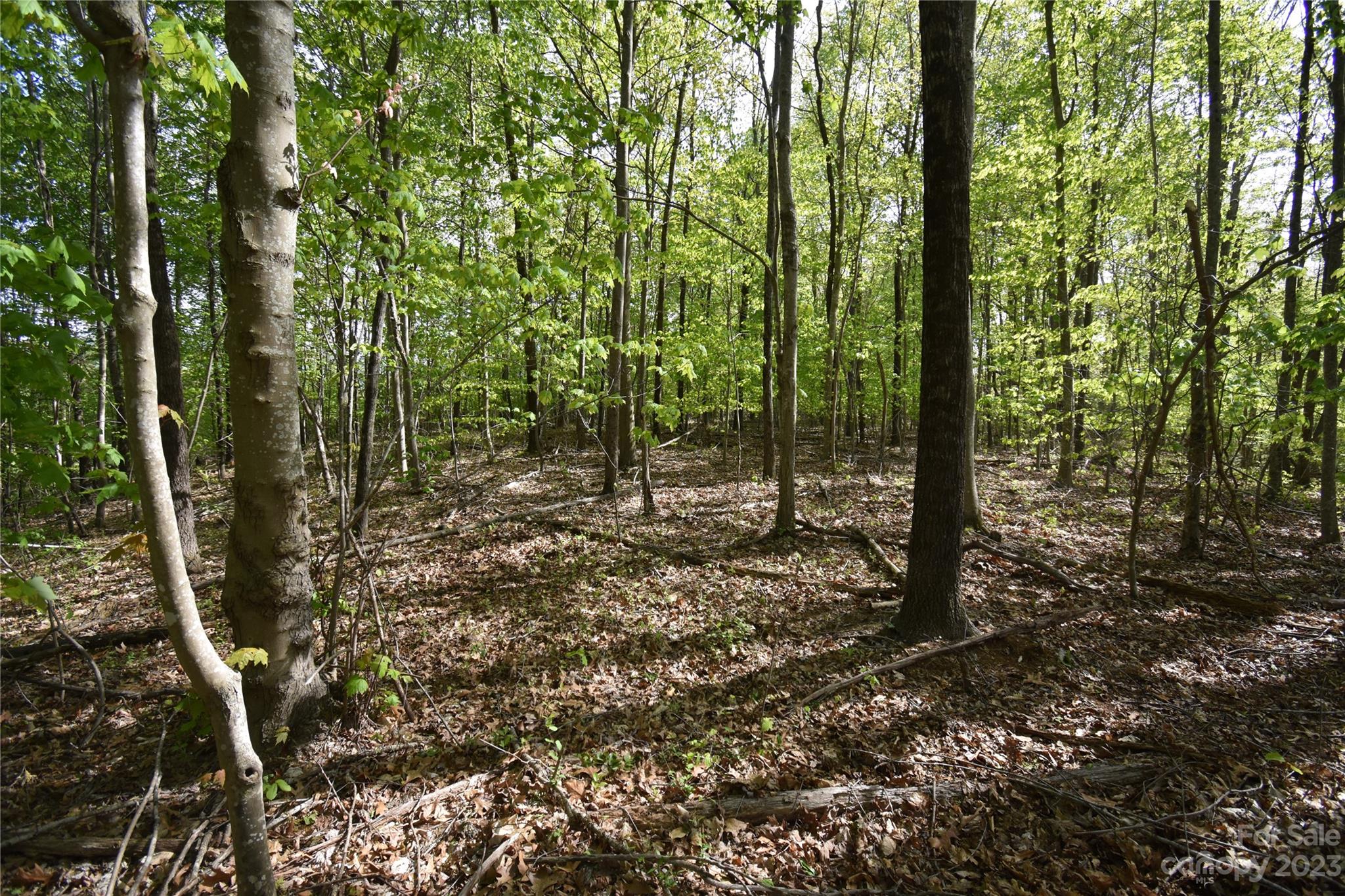 Land Off Ransom Road Clyde, NC 28721 - Photo 37 of 38