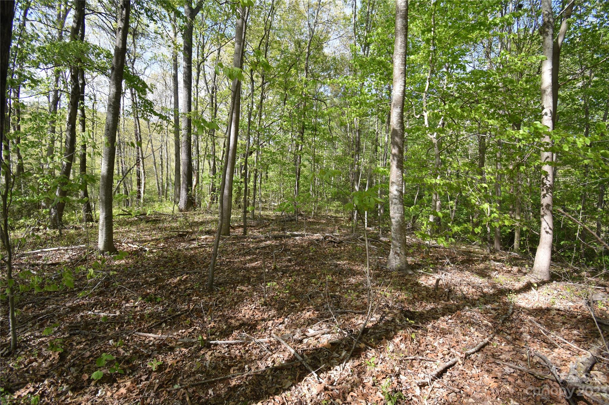 Land Off Ransom Road Clyde, NC 28721 - Photo 38 of 38