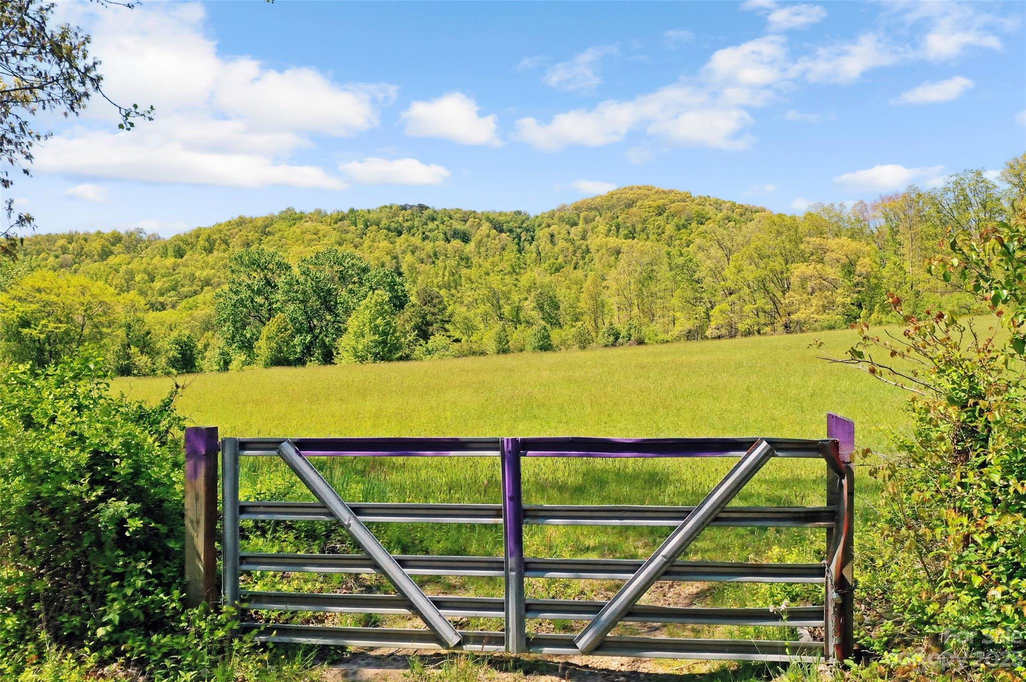 Land Off Ransom Road Clyde, NC 28721 - Photo 4 of 38