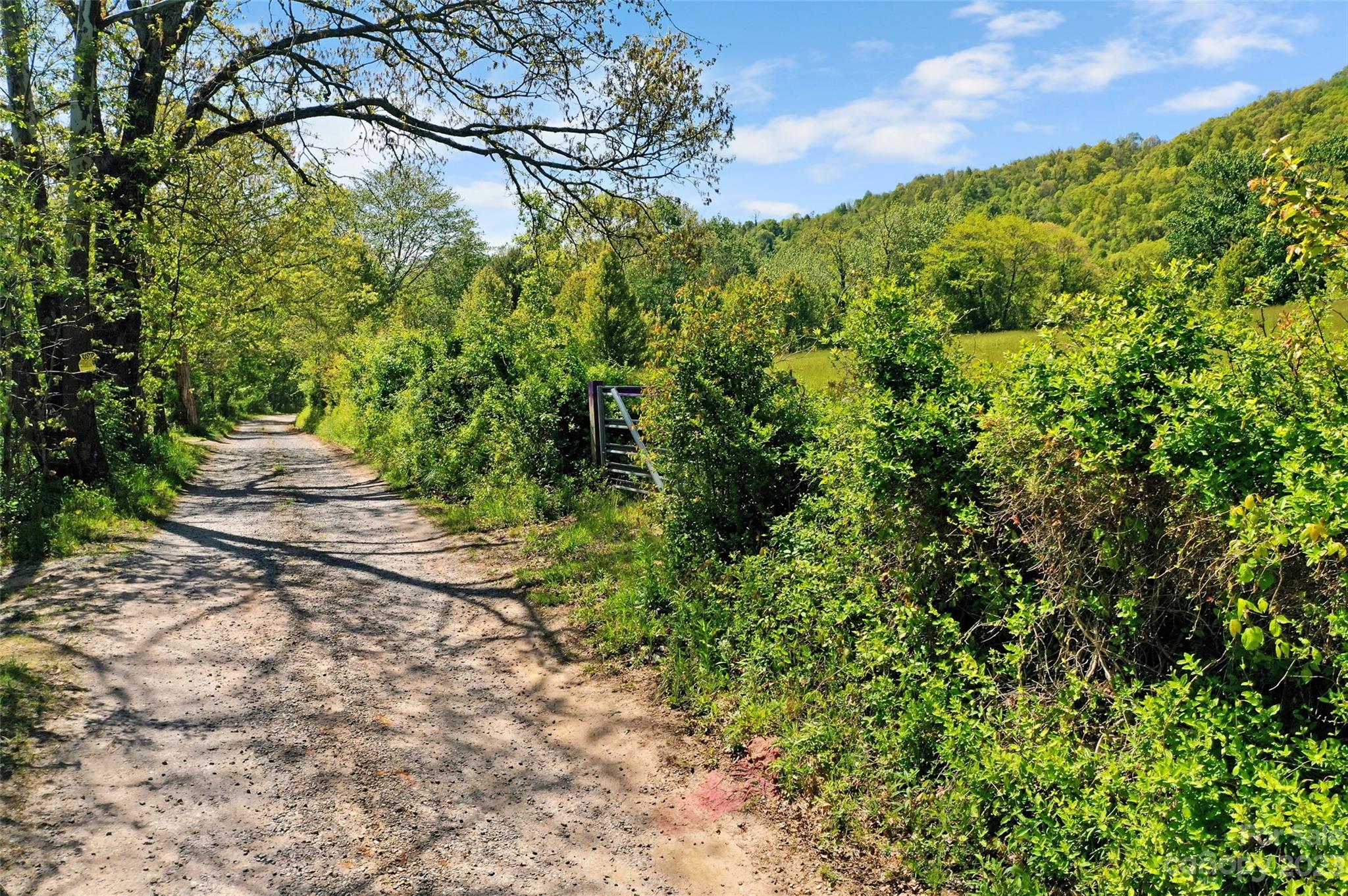 Land Off Ransom Road Clyde, NC 28721 - Photo 5 of 38