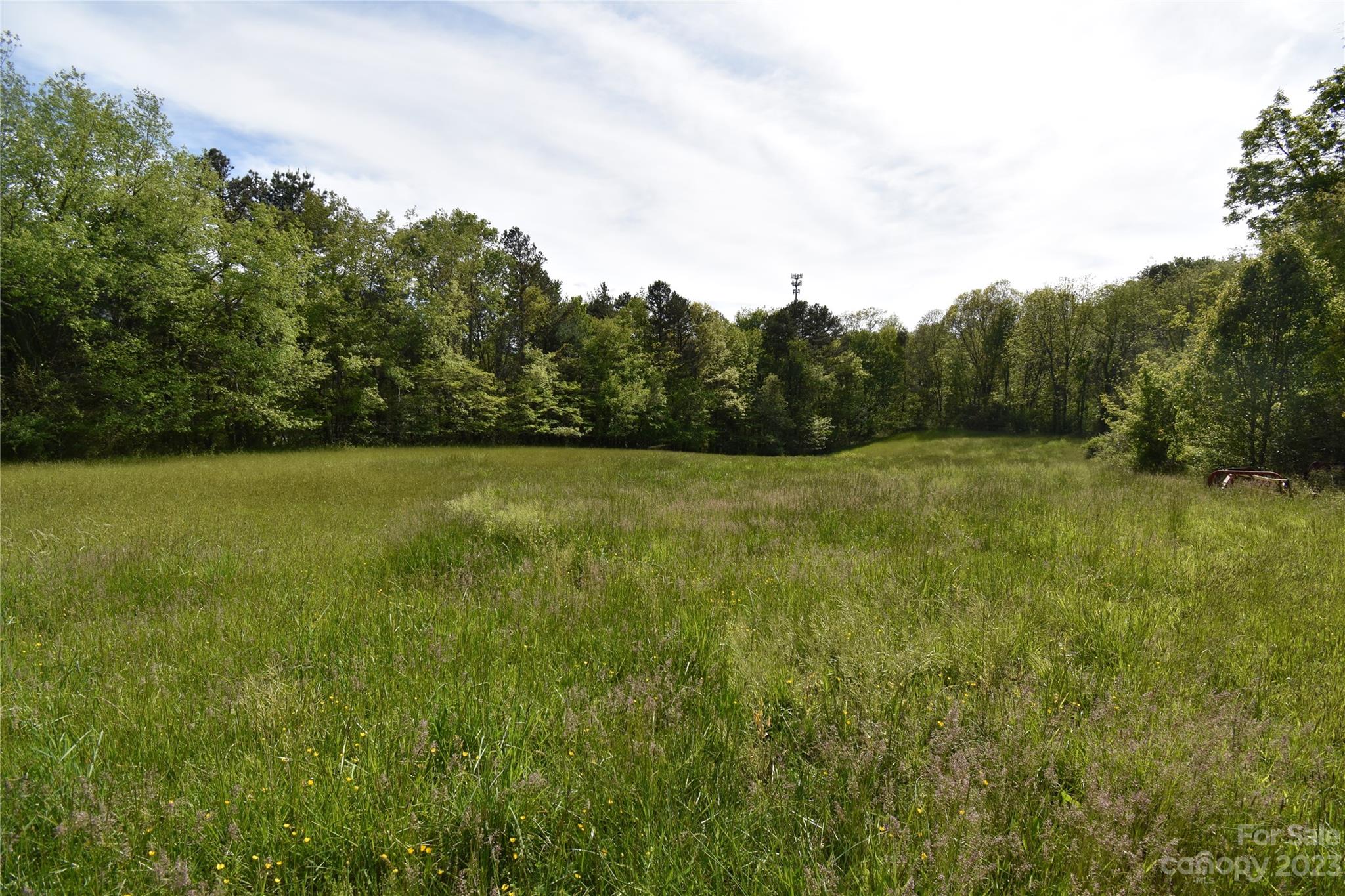 Land Off Ransom Road Clyde, NC 28721 - Photo 6 of 38