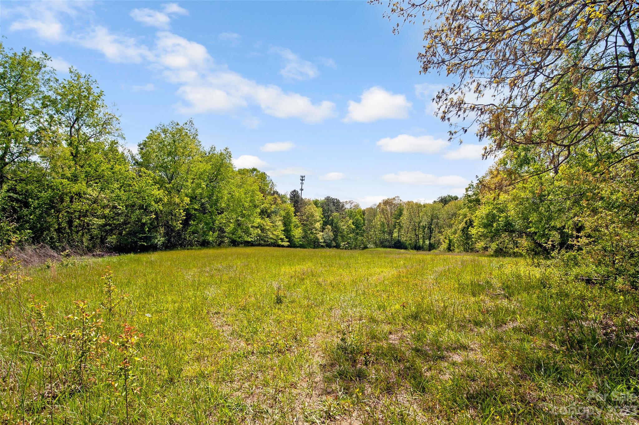 Land Off Ransom Road Clyde, NC 28721 - Photo 8 of 38