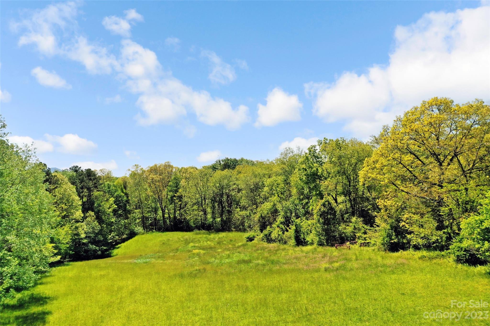 Land Off Ransom Road Clyde, NC 28721 - Photo 9 of 38