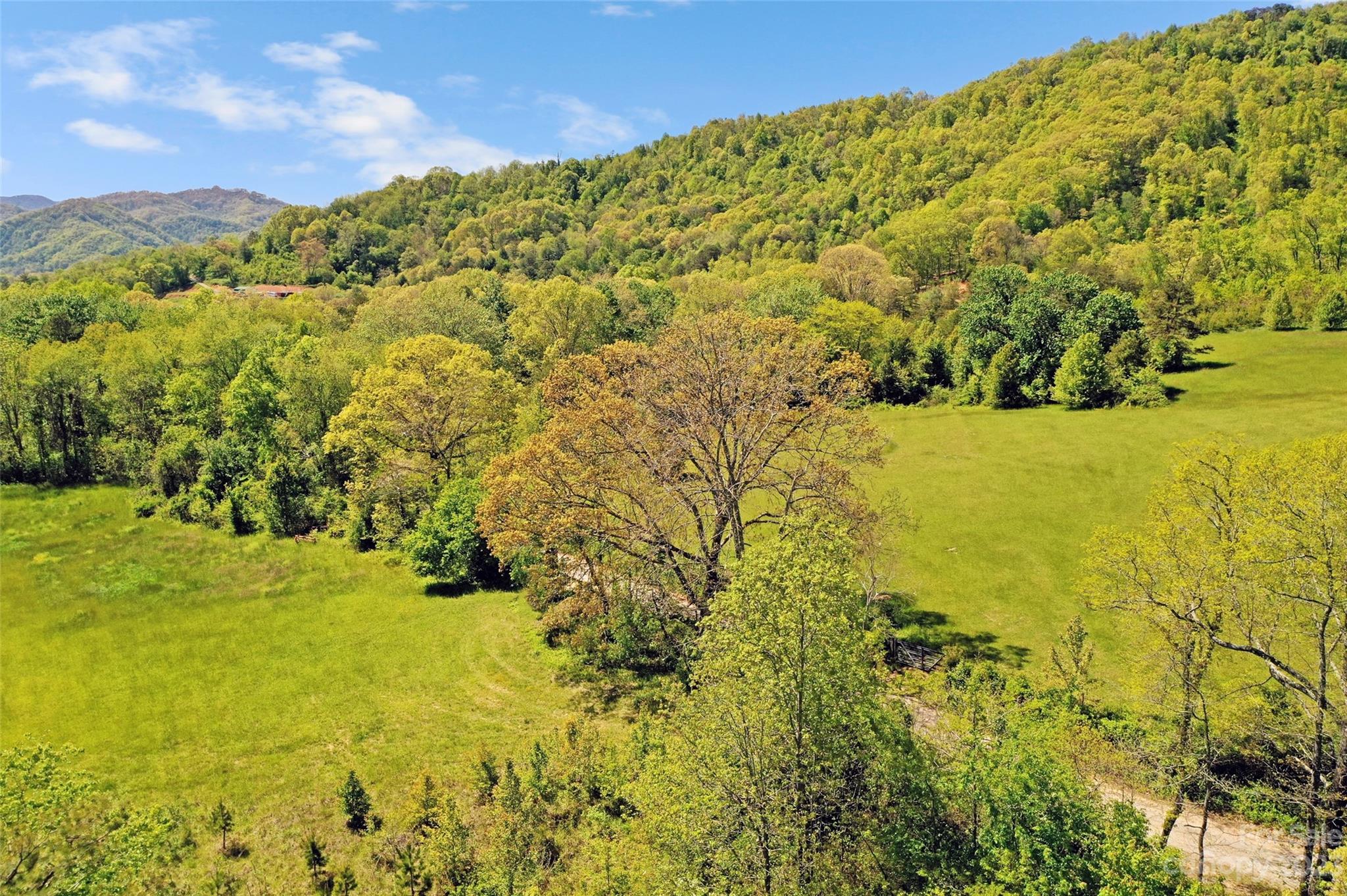 Land Off Ransom Road Clyde, NC 28721 - Photo 10 of 38