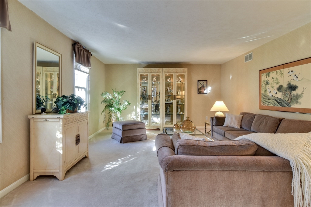 7 Gibbs Valley Path Framingham, MA 01701 - Photo 3 of 39 a living room with furniture and a potted plant