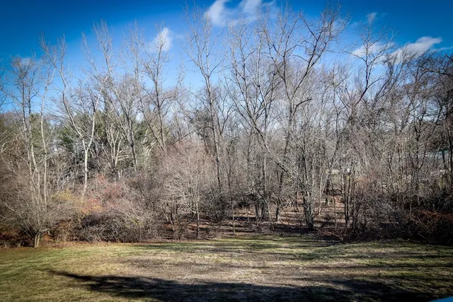 a view of a park with large trees