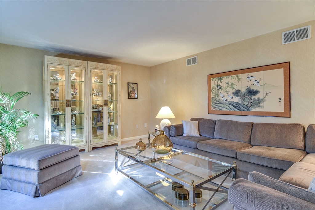 7 Gibbs Valley Path Framingham, MA 01701 - Photo 4 of 39 a living room with furniture a lamp and a potted plant