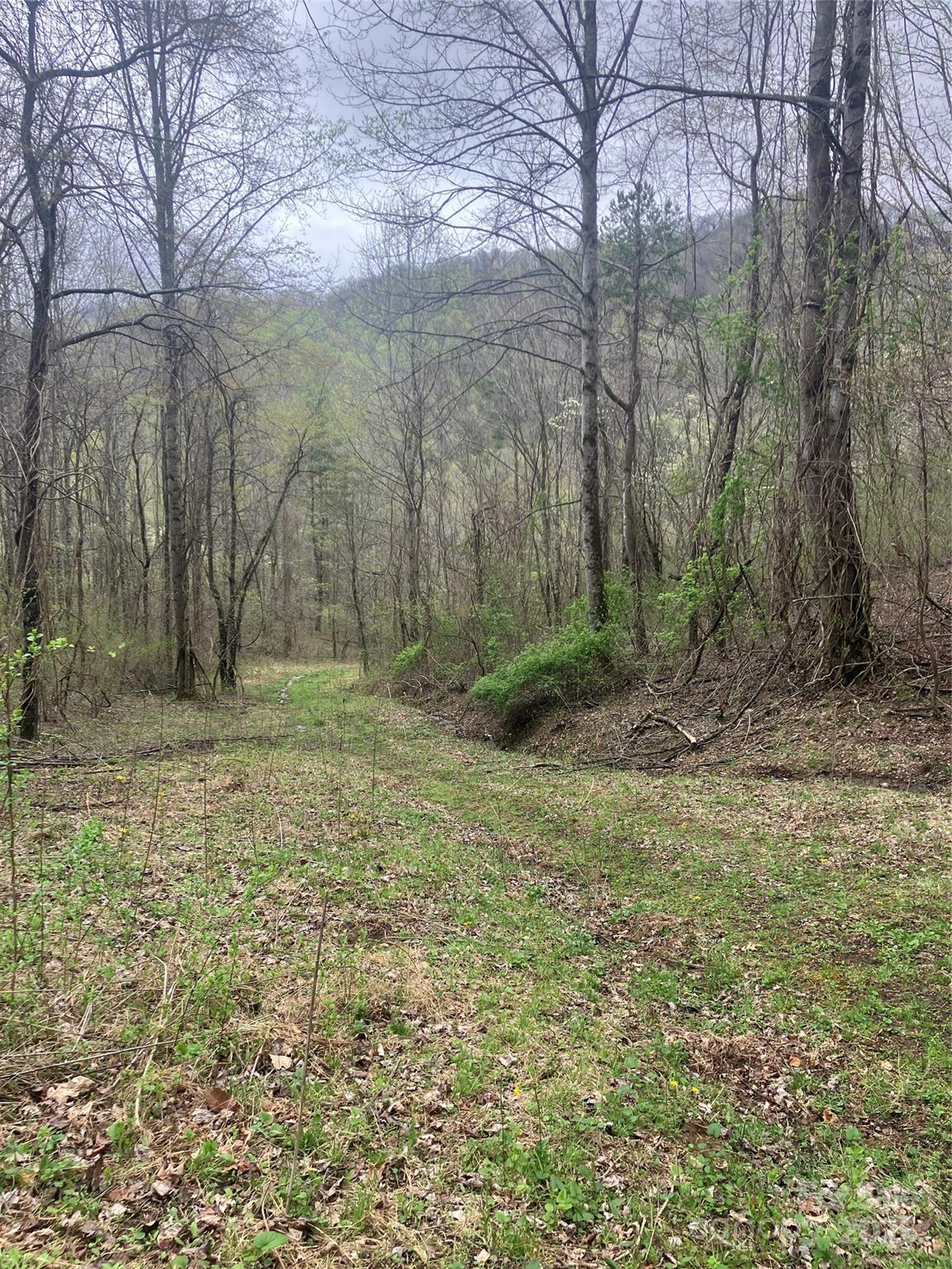 9999 Davidson Gap Road Leicester, NC 28748 - Photo 1 of 9 Gallery Image 1