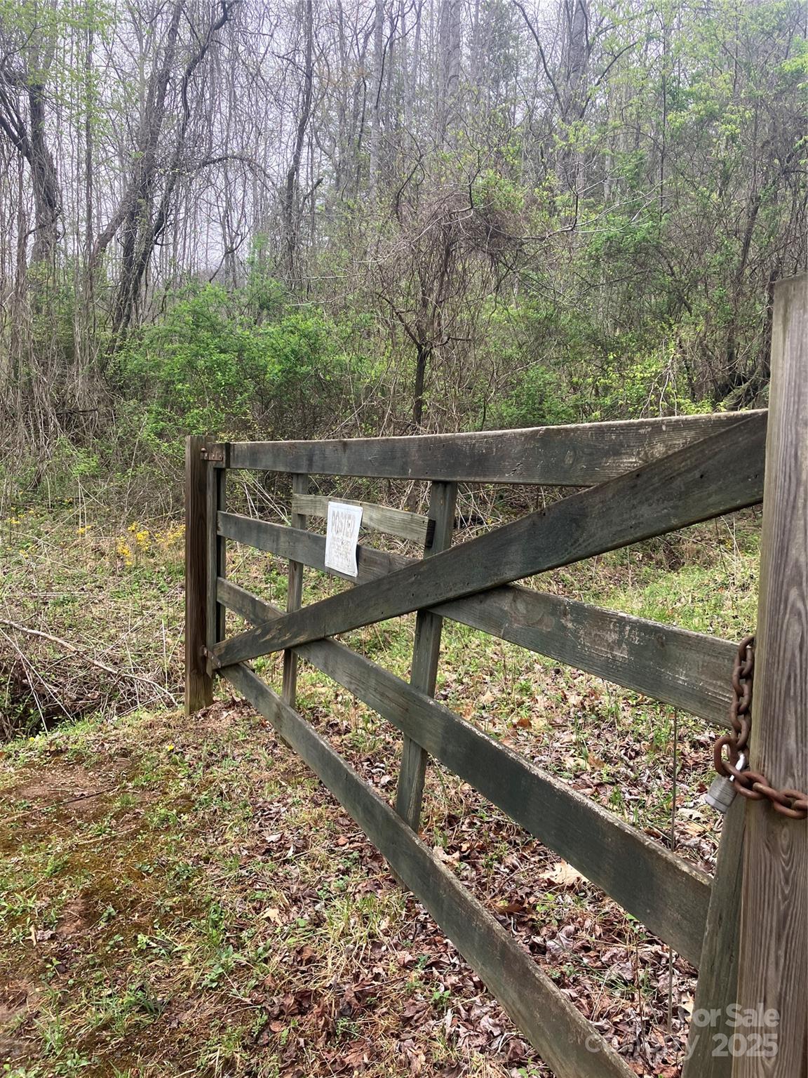 9999 Davidson Gap Road Leicester, NC 28748 - Photo 8 of 9 Gallery Image 8