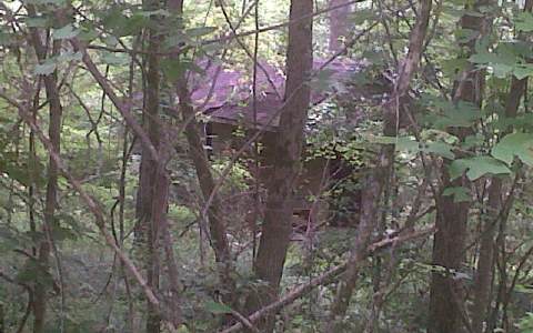 Garrett Branch Road Ellijay, GA 30536 - Photo 1 of 1 Main View