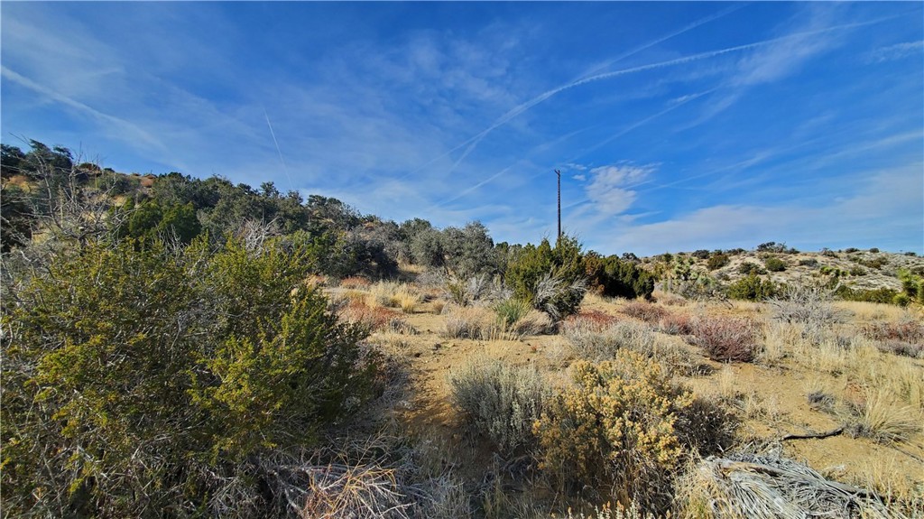 0 Vicinity Ross Road Juniper Hills, CA 93543 - Photo 14 of 50 a view of a large building with a mountain in the background