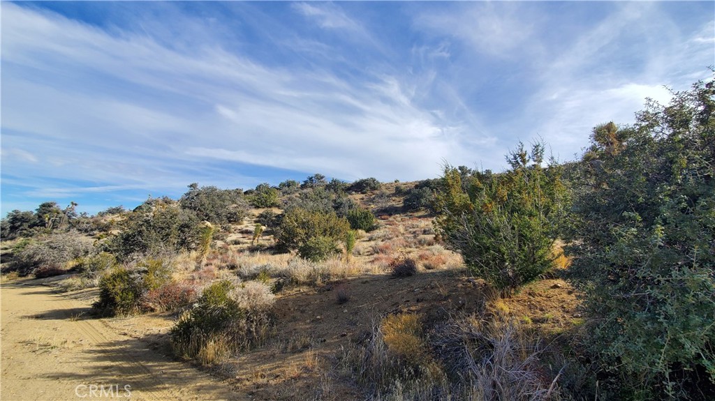 0 Vicinity Ross Road Juniper Hills, CA 93543 - Photo 16 of 50 a view of a bunch of trees in a house