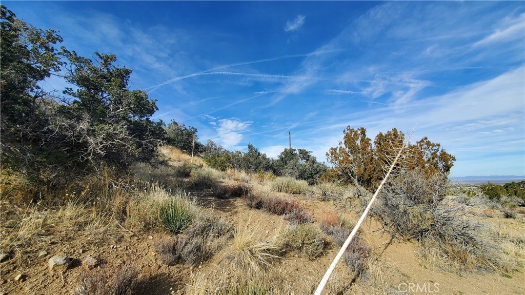 0 Vicinity Ross Road Juniper Hills, CA 93543 - Photo 17 of 50 a view of a dry yard with wooden fence