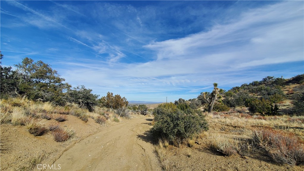 0 Vicinity Ross Road Juniper Hills, CA 93543 - Photo 19 of 50 a view of a field with a tree in it