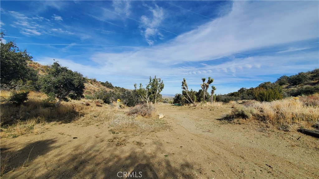 0 Vicinity Ross Road Juniper Hills, CA 93543 - Photo 21 of 50 a view of a dry yard with trees