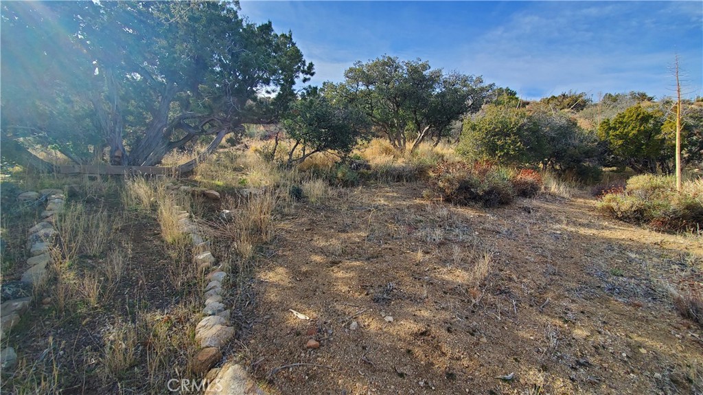 0 Vicinity Ross Road Juniper Hills, CA 93543 - Photo 29 of 50 a view of a yard with a tree
