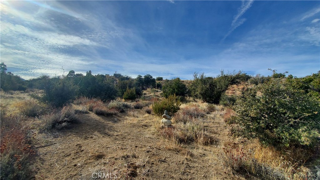 0 Vicinity Ross Road Juniper Hills, CA 93543 - Photo 32 of 50 a view of a dry yard with lots of trees