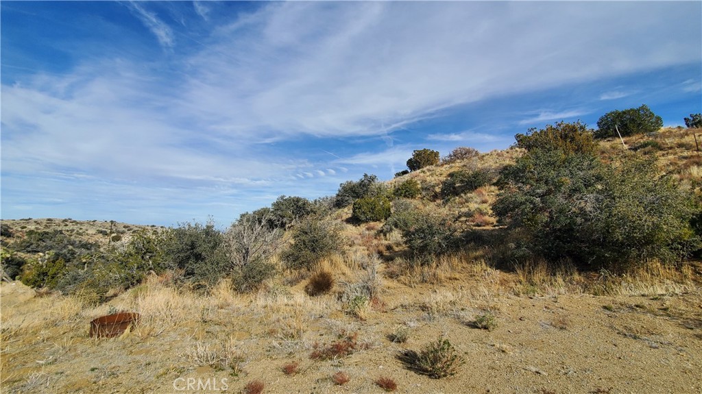 0 Vicinity Ross Road Juniper Hills, CA 93543 - Photo 33 of 50 a view of a yard