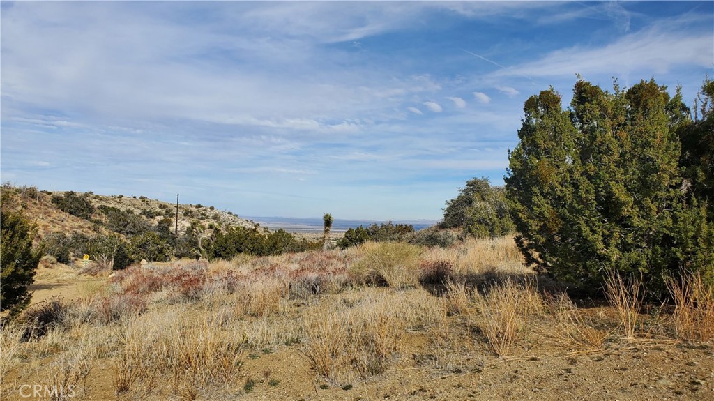 0 Vicinity Ross Road Juniper Hills, CA 93543 - Photo 38 of 50 a view of a snow on a field