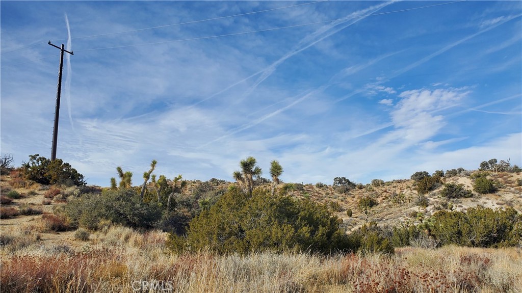 0 Vicinity Ross Road Juniper Hills, CA 93543 - Photo 7 of 50