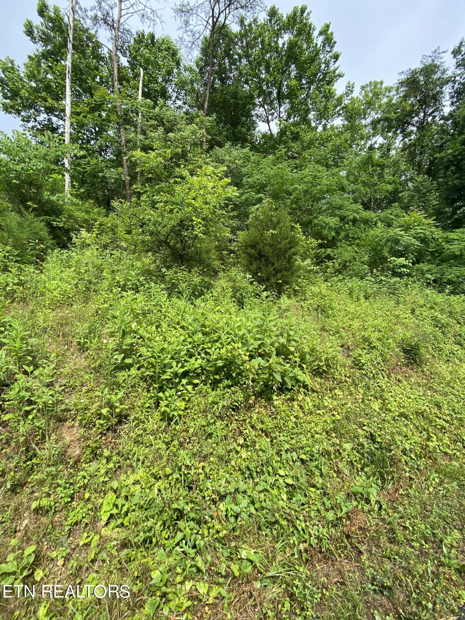 0 Mehaffey Road Powell, TN 37849 - Photo 1 of 8 Gallery Image 1