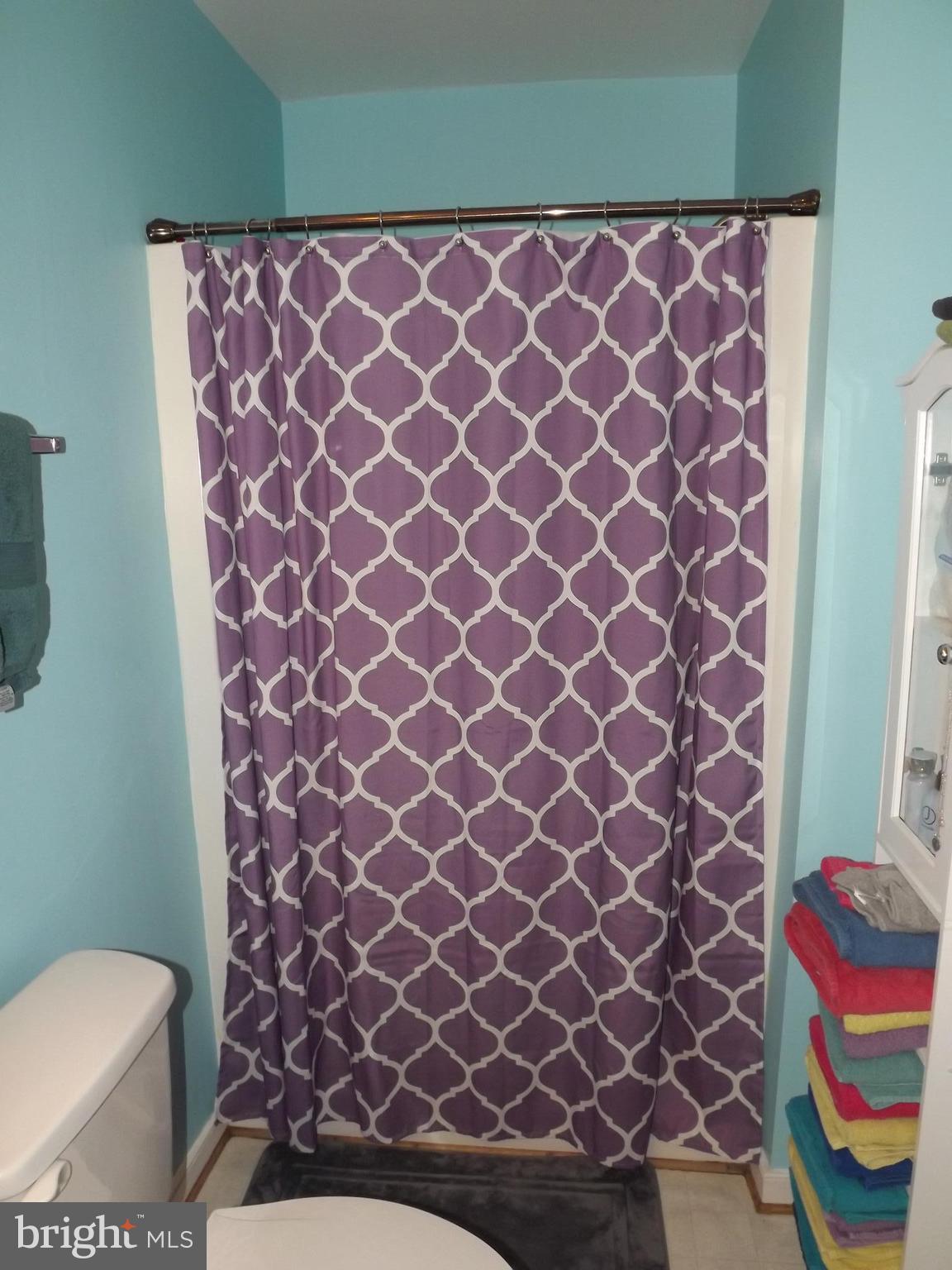 14094 Reva Road Boston, VA 22713 - Photo 20 of 30 Bath (Master)