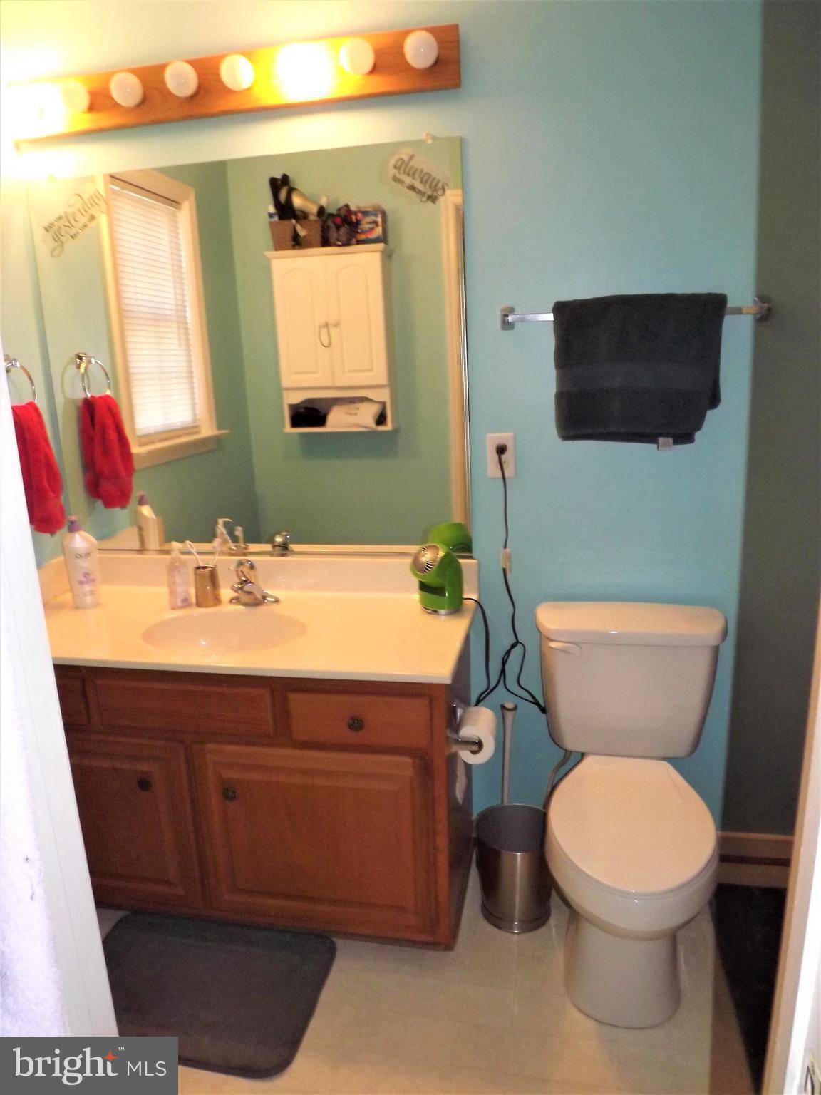 14094 Reva Road Boston, VA 22713 - Photo 21 of 30 Bath (Master)