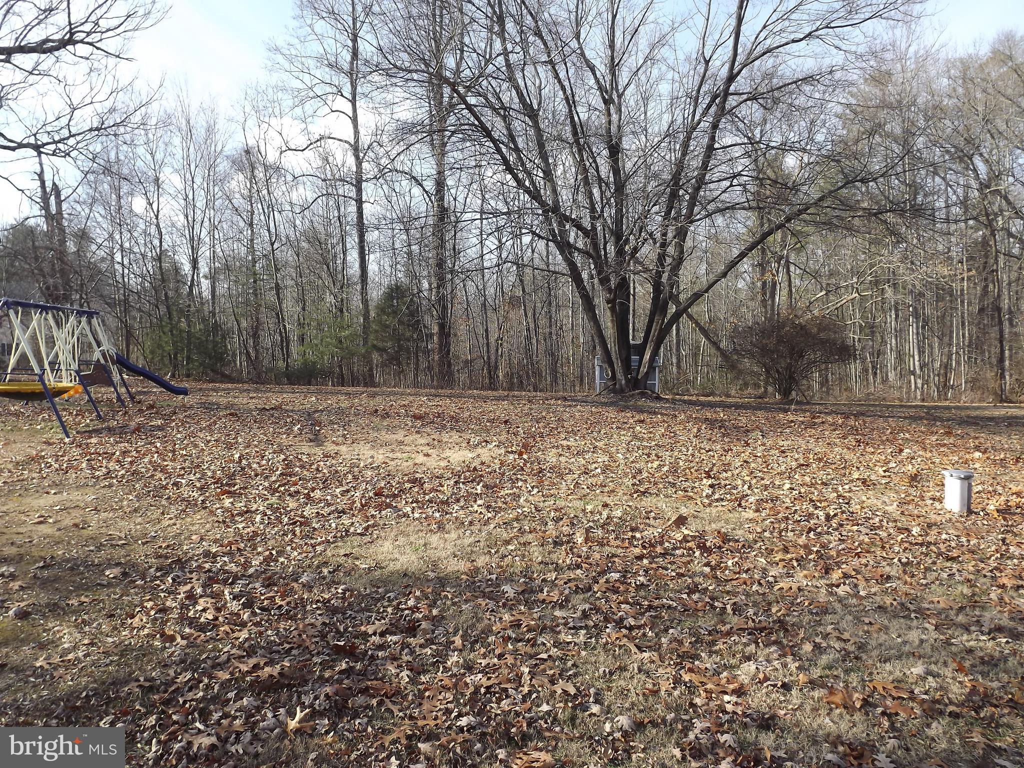14094 Reva Road Boston, VA 22713 - Photo 26 of 30 Back Yard