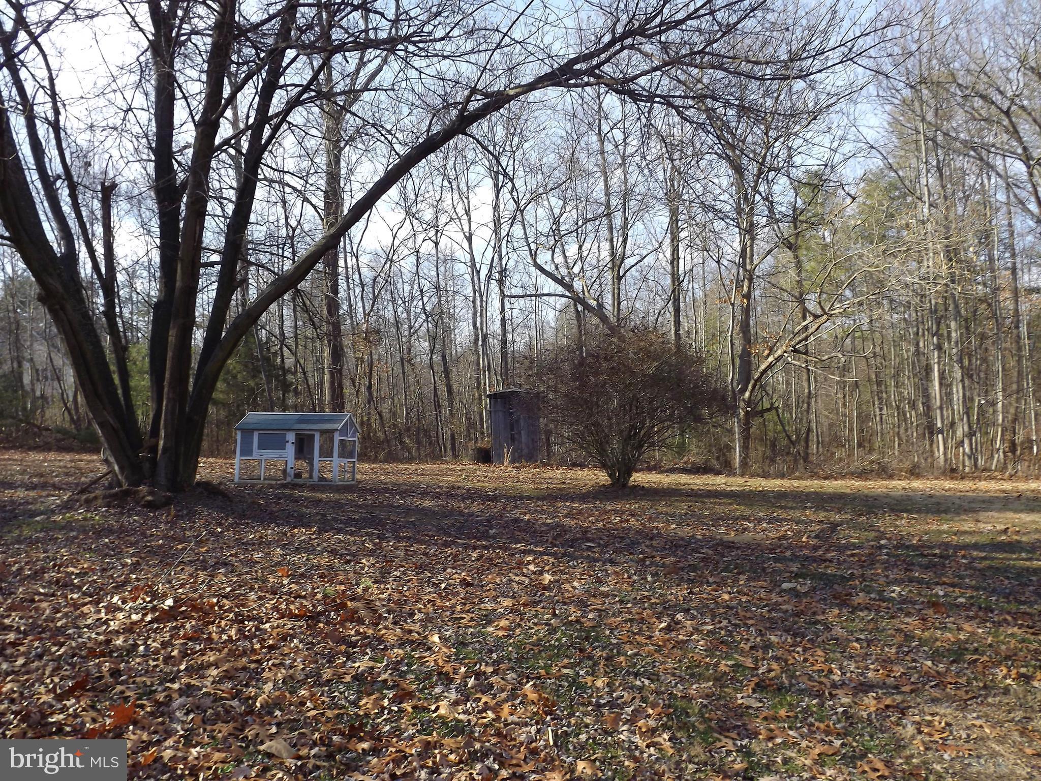 14094 Reva Road Boston, VA 22713 - Photo 28 of 30 Back Yard