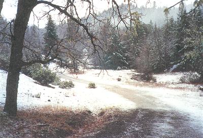 0 Dos Rios Road Laytonville, CA 95454 - Photo 5 of 8 a view of a yard covered in snow
