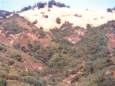 0 Dos Rios Road Laytonville, CA 95454 - Photo 6 of 8 a view of a dry yard
