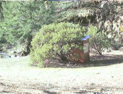 0 Dos Rios Road Laytonville, CA 95454 - Photo 7 of 8 a view of a yard with a tree