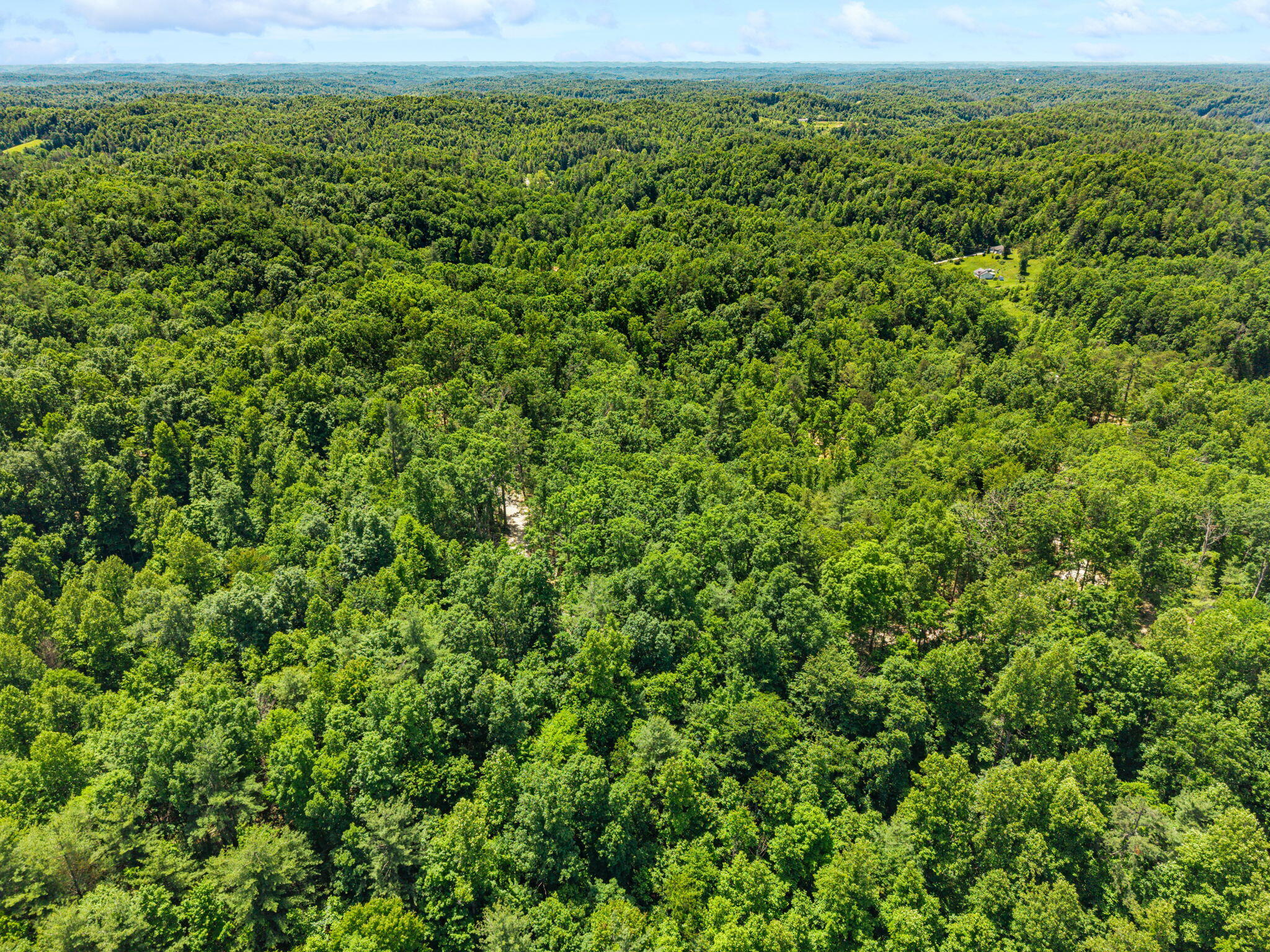 131 High Ridge Road Campton, KY 41301 - Photo 4 of 8 37-web-or-mls-DJI_20260529123843_0087_D
